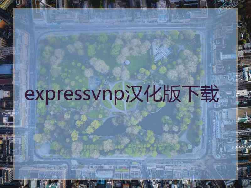 expressvnp汉化版下载