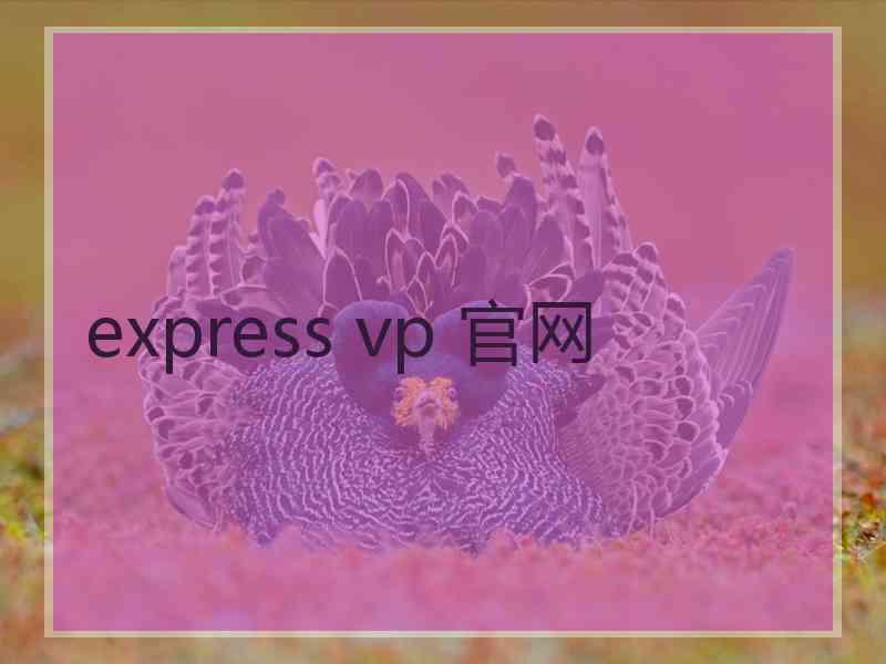 express vp 官网