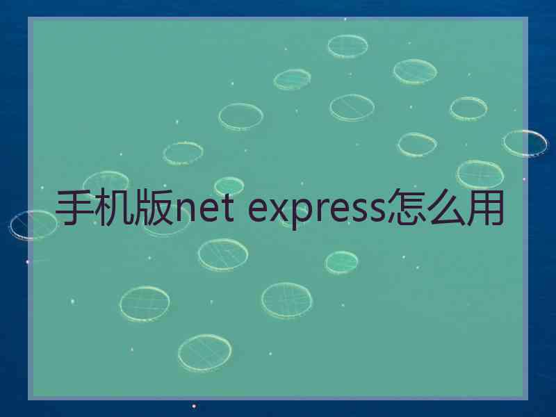 手机版net express怎么用
