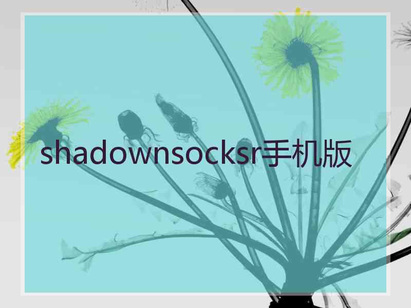 shadownsocksr手机版