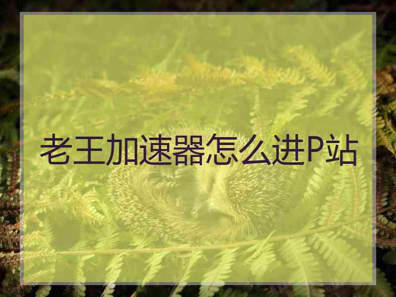 老王加速器怎么进P站 老王加速器怎么进P站