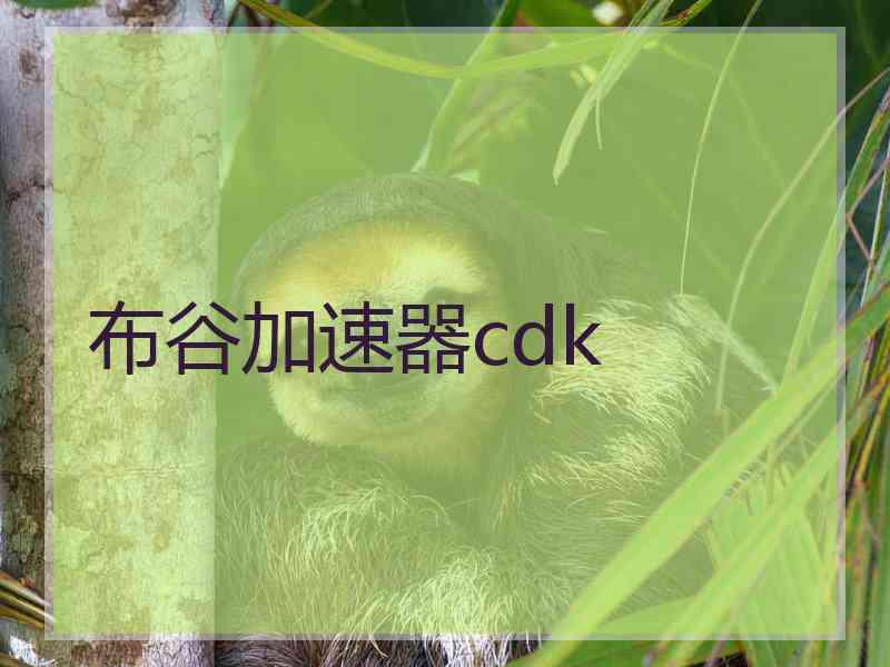 布谷加速器cdk