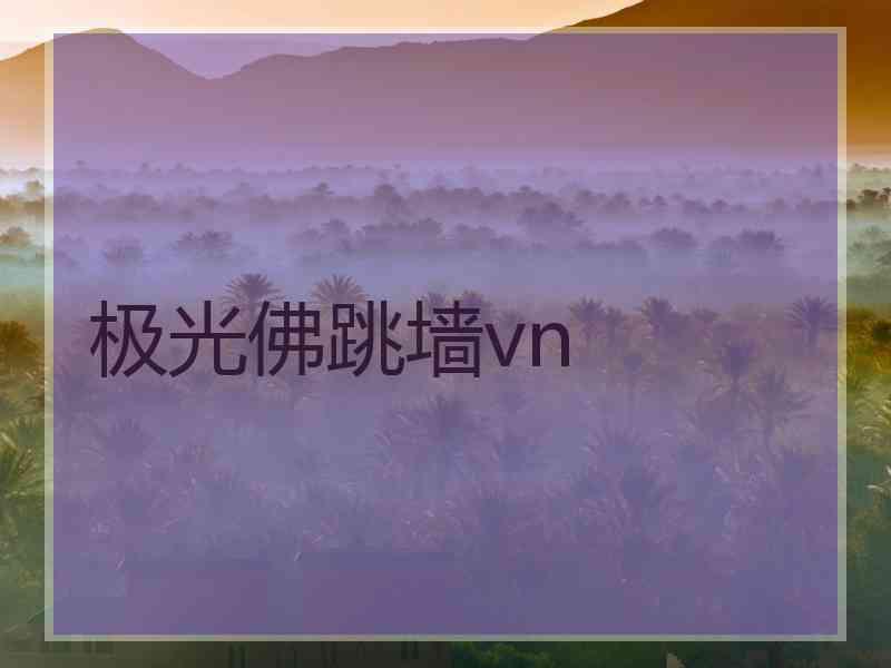 极光佛跳墙vn