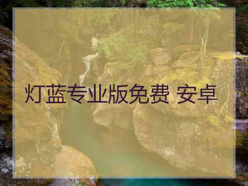 灯蓝专业版免费 安卓