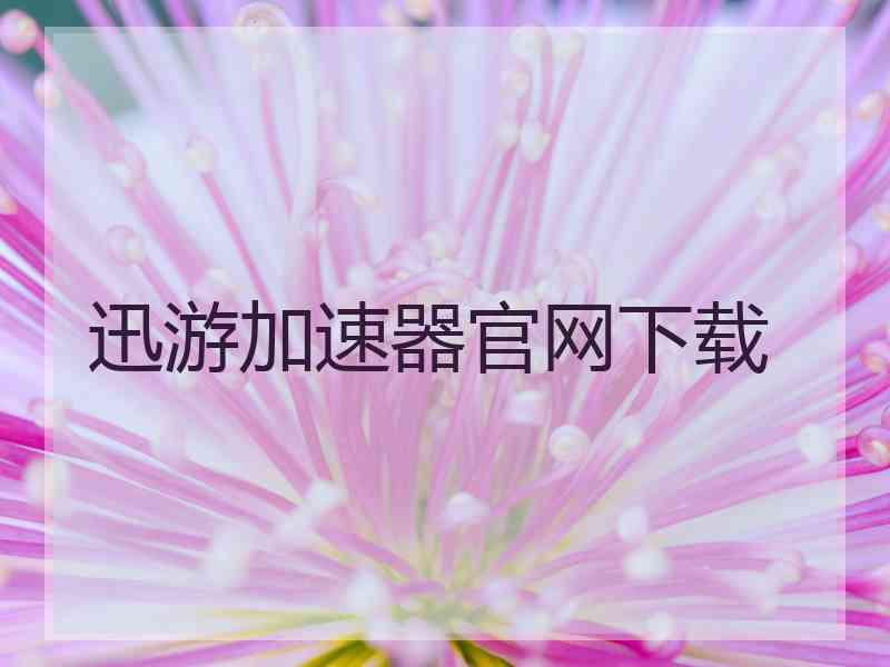迅游加速器官网下载