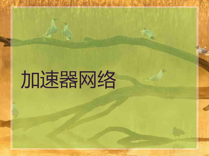加速器网络