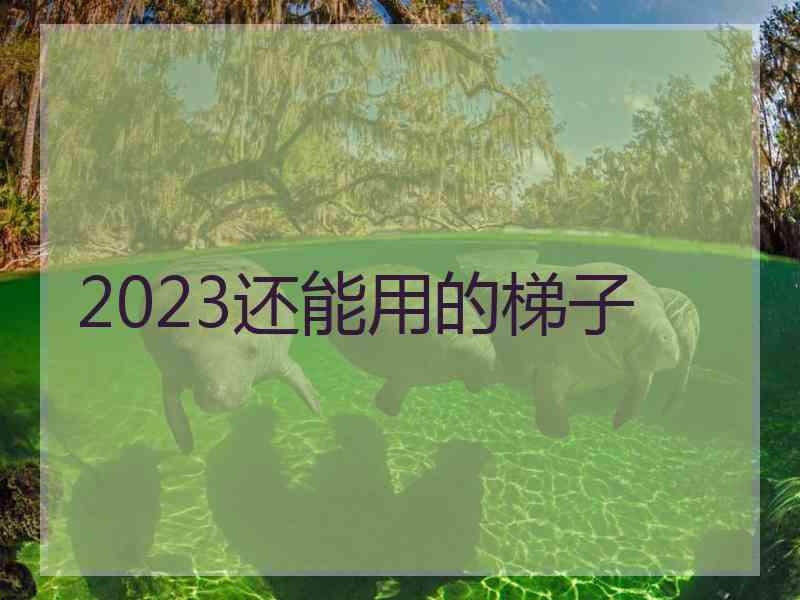 2023还能用的梯子