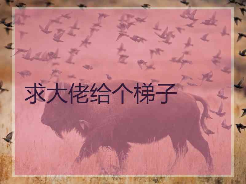 求大佬给个梯子
