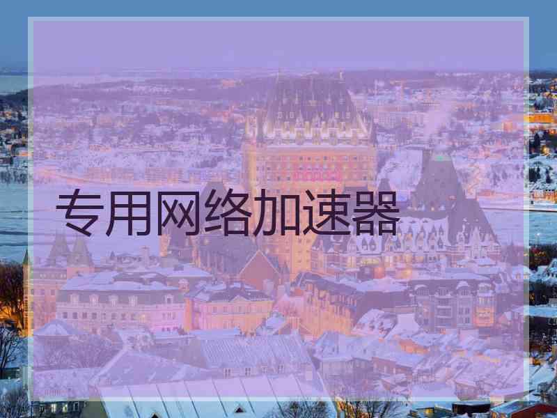 专用网络加速器