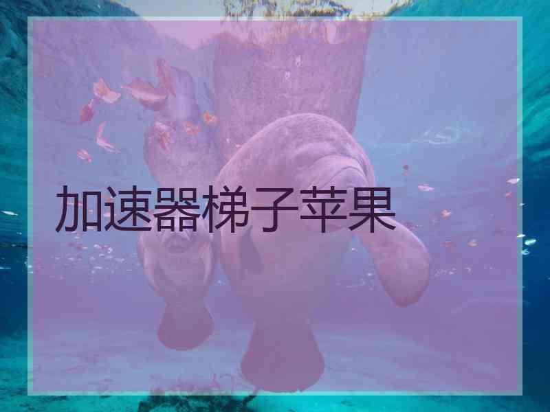 加速器梯子苹果