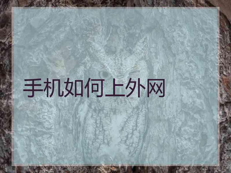 手机如何上外网