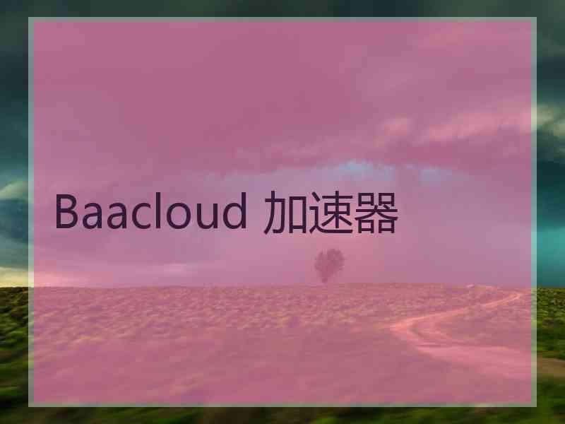 Baacloud 加速器