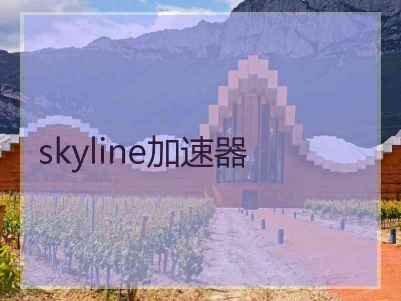 skyline加速器