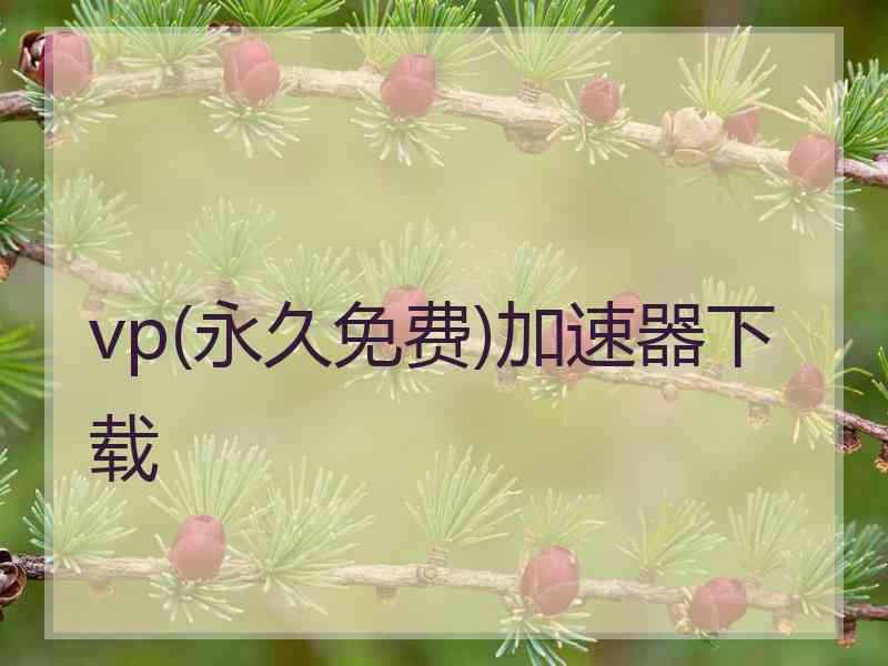 vp(永久免费)加速器下载