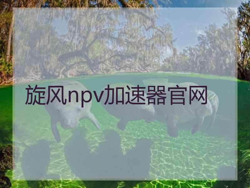旋风npv加速器官网