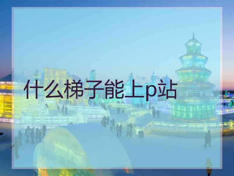 什么梯子能上p站