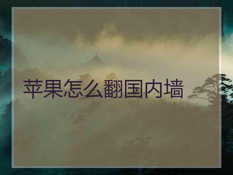 苹果怎么翻国内墙