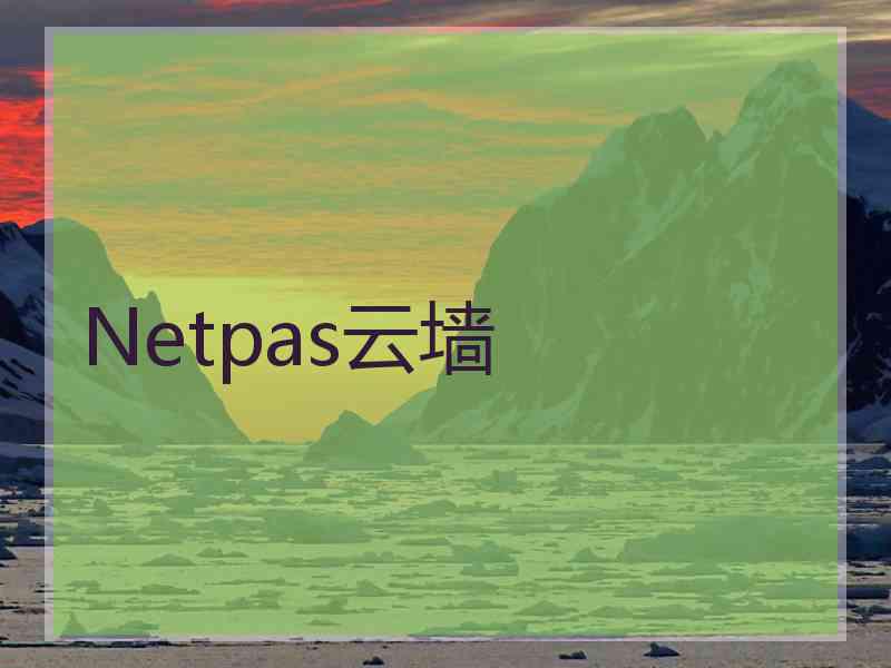 Netpas云墙