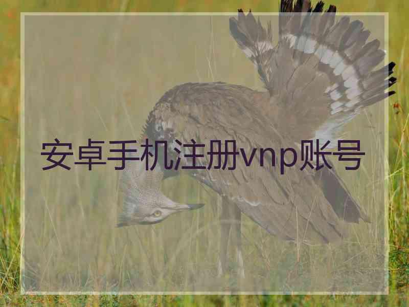安卓手机注册vnp账号