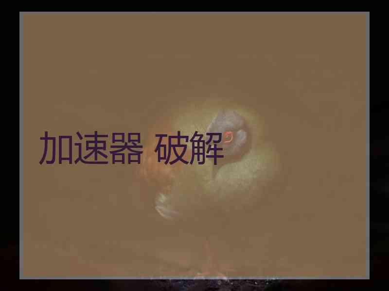 加速器 破解