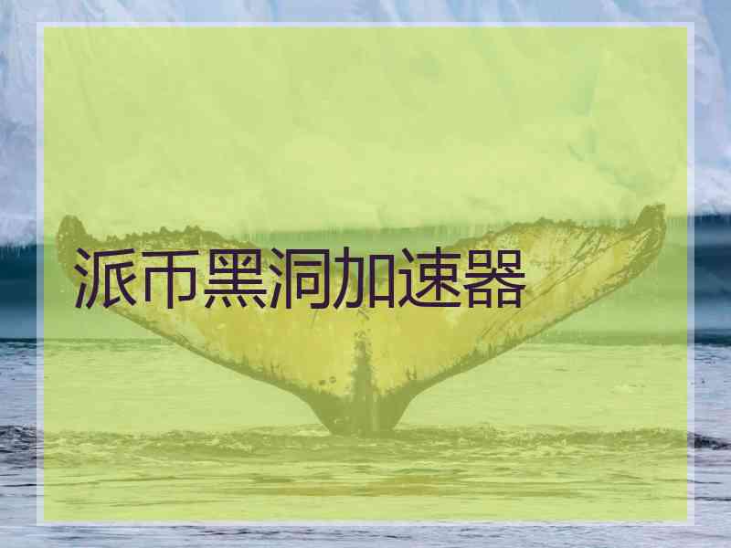 派币黑洞加速器