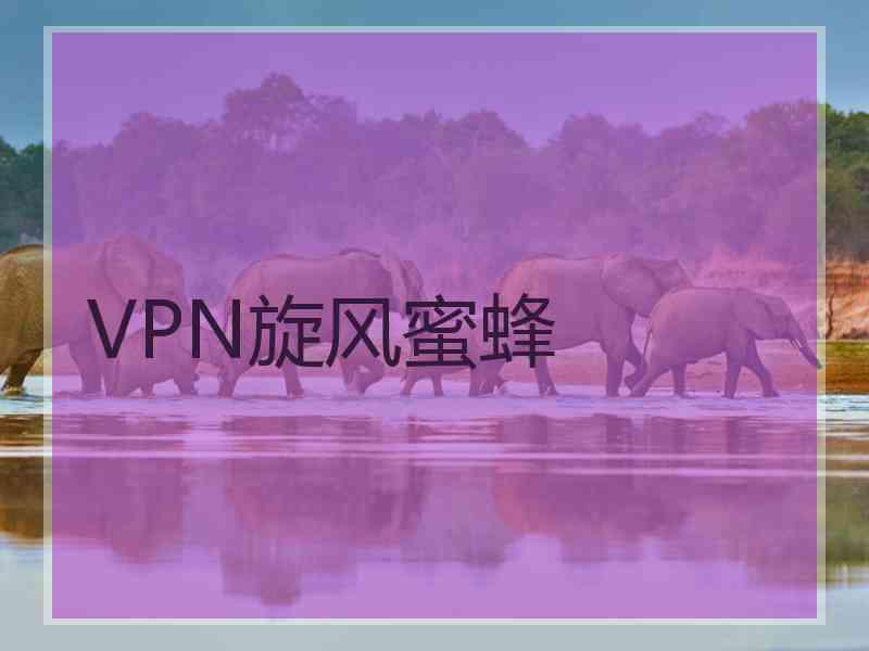 VPN旋风蜜蜂