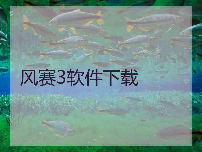风赛3软件下载