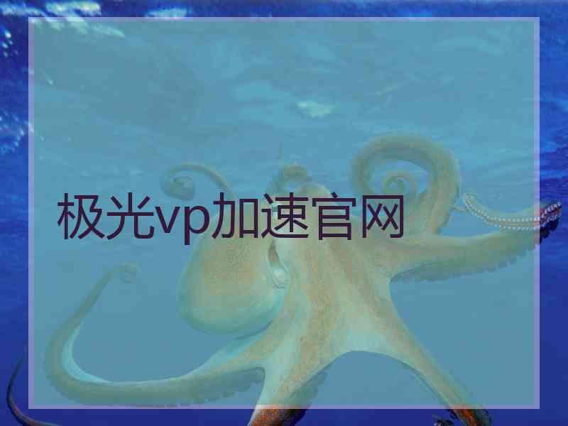 极光vp加速官网