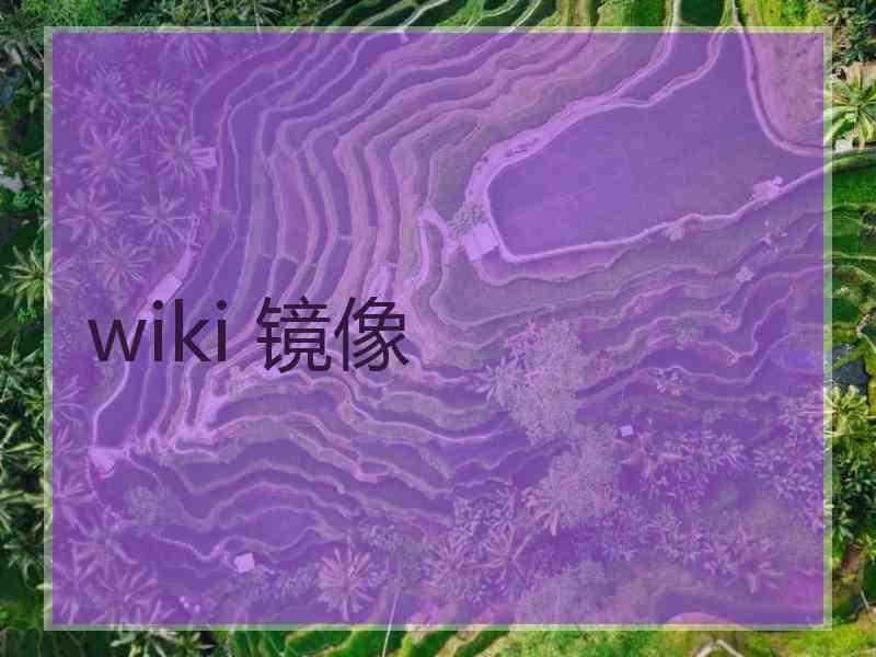 wiki 镜像