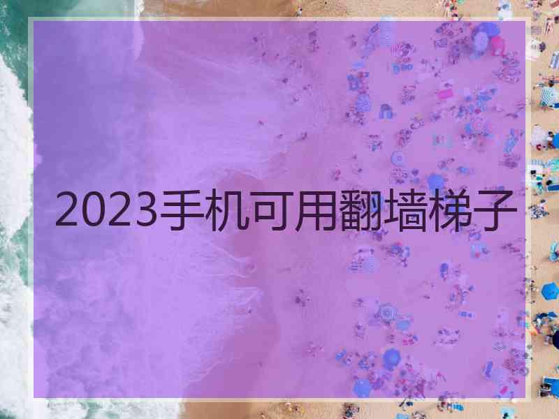 2023手机可用翻墙梯子