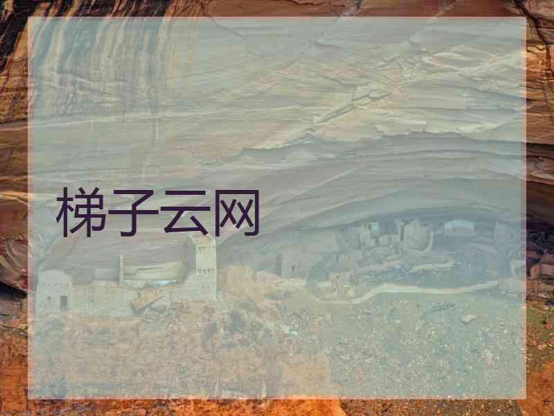 梯子云网