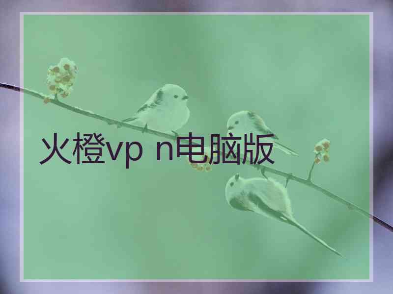 火橙vp n电脑版