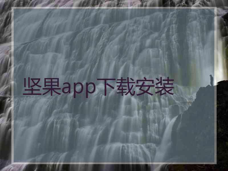 坚果app下载安装