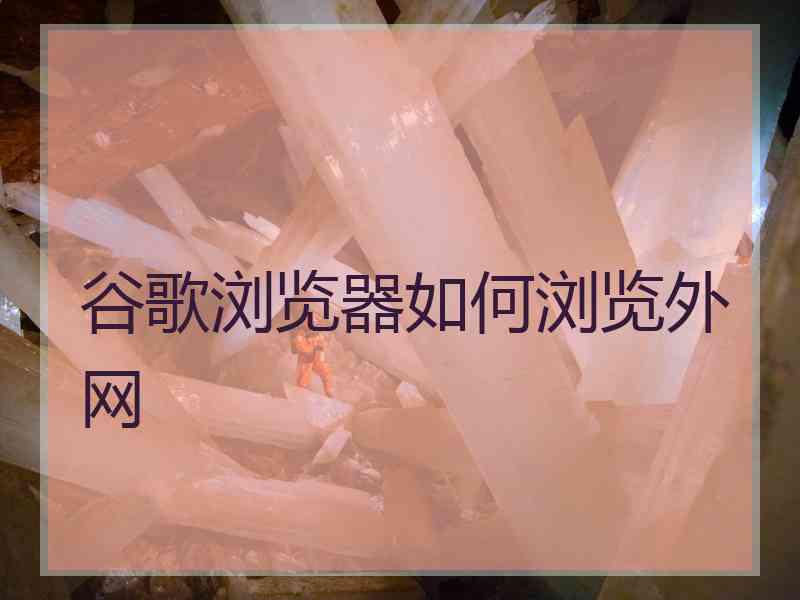 谷歌浏览器如何浏览外网