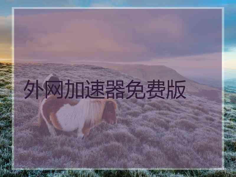 外网加速器免费版