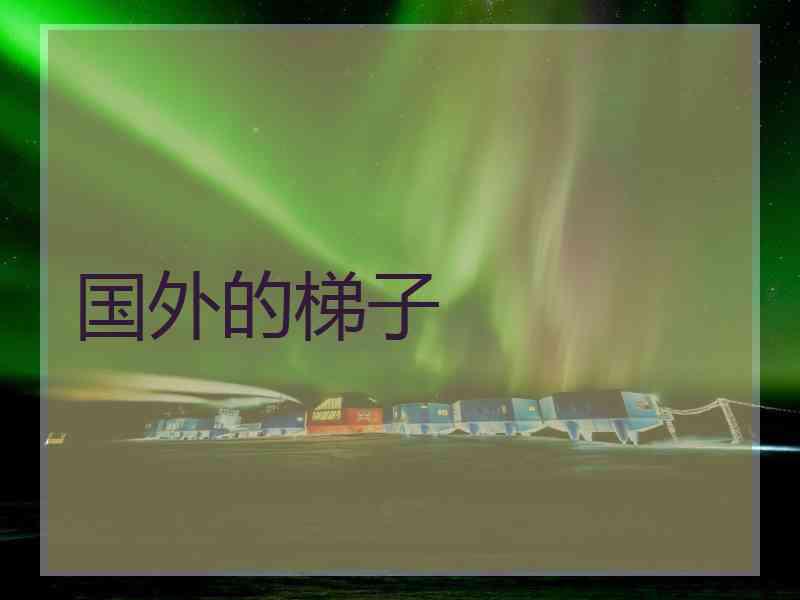 国外的梯子