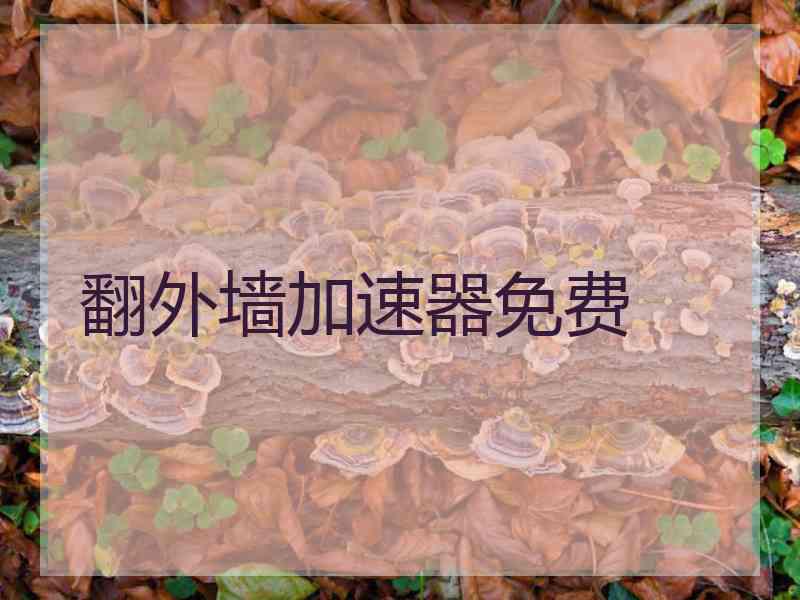 翻外墙加速器免费