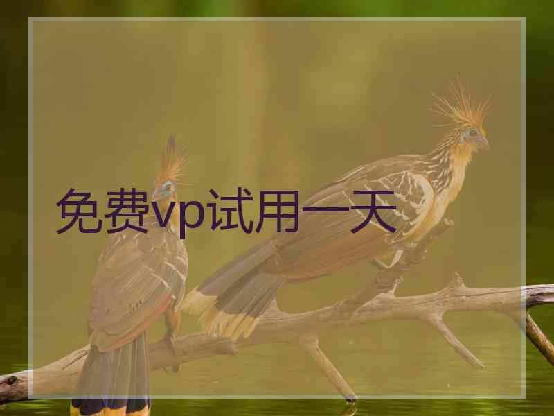 免费vp试用一天