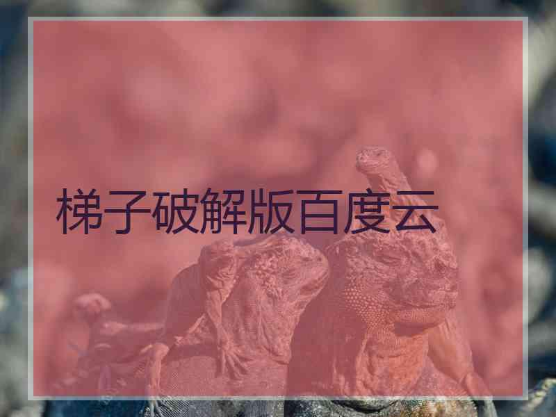 梯子破解版百度云