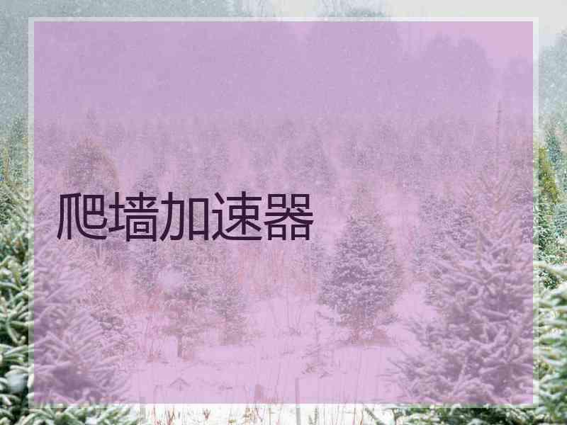 爬墙加速器