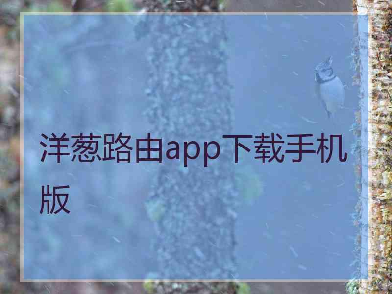 洋葱路由app下载手机版