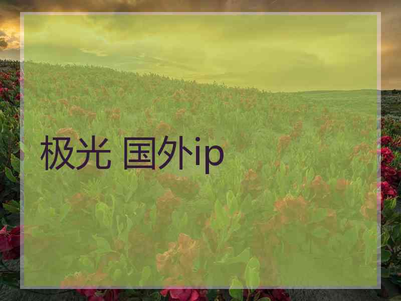 极光 国外ip