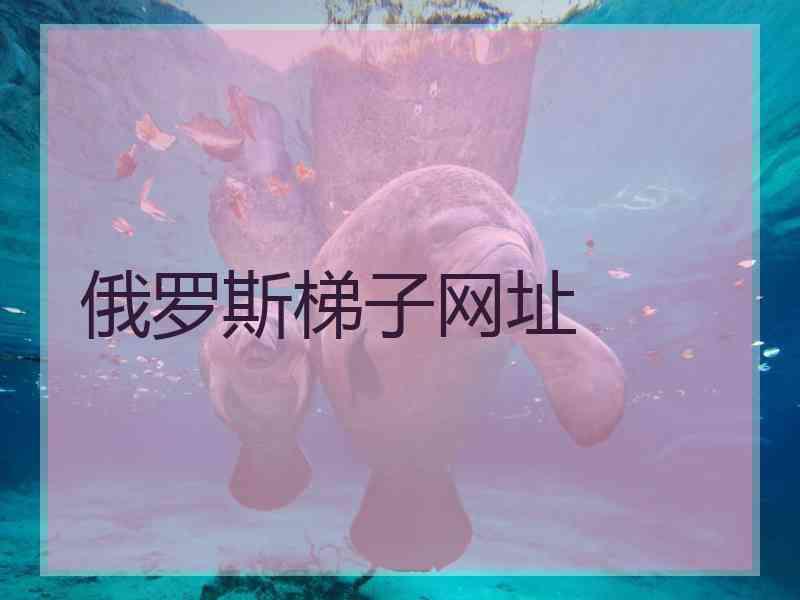 俄罗斯梯子网址