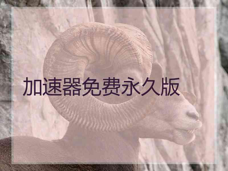 加速器免费永久版