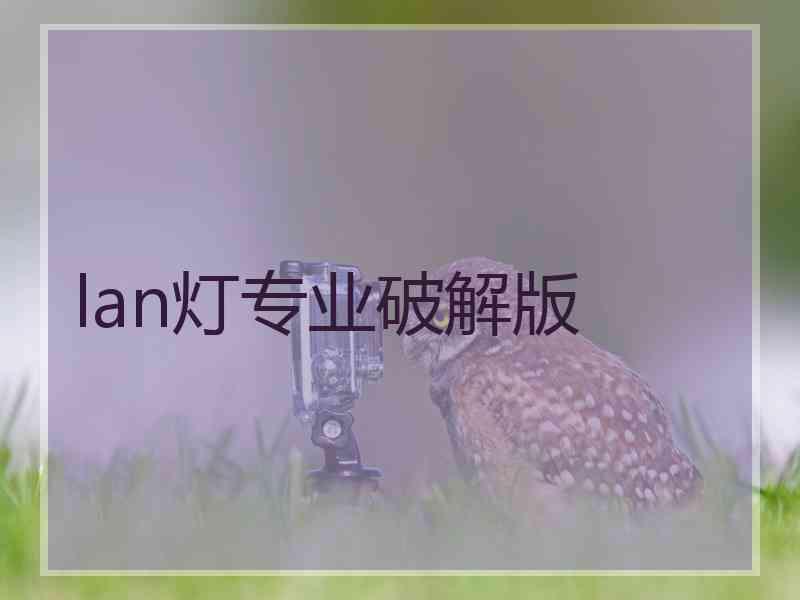 lan灯专业破解版