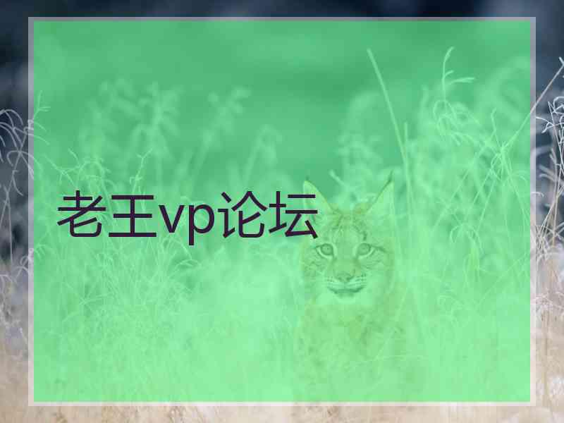 老王vp论坛