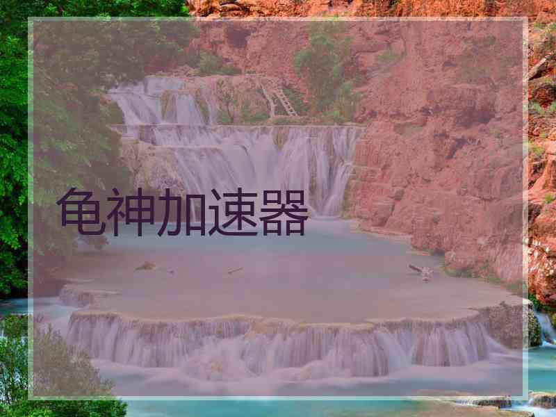 龟神加速器