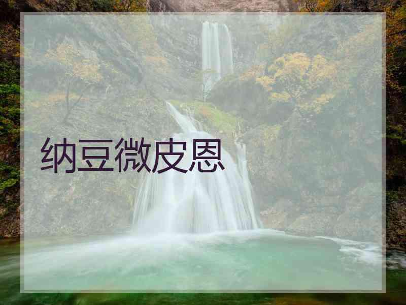 纳豆微皮恩