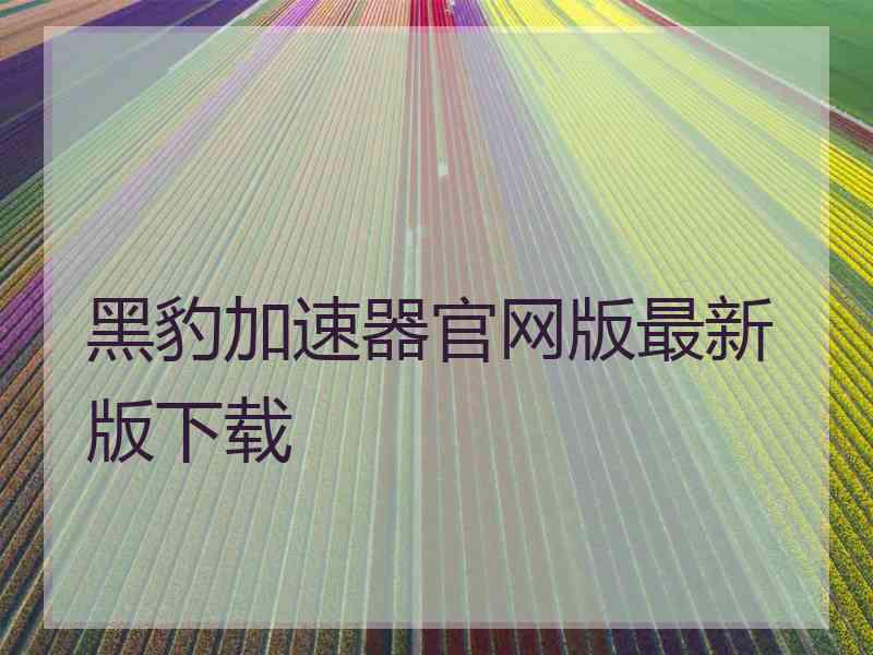 黑豹加速器官网版最新版下载