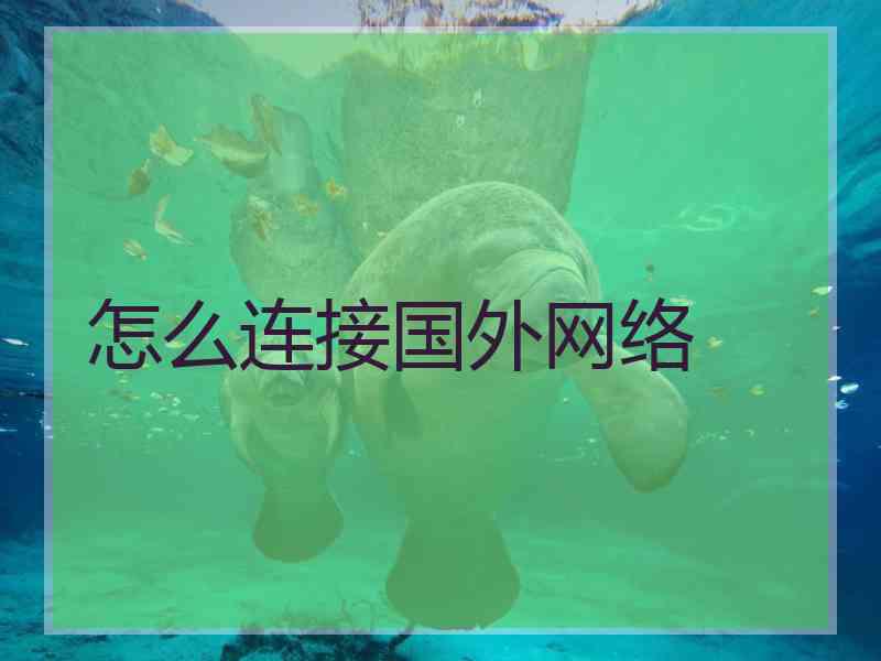 怎么连接国外网络